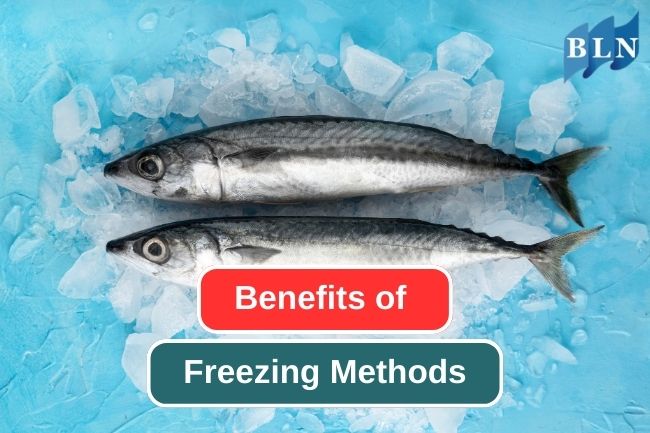 5 Reason Why Freezing Is A Great Way To Preserve Fish